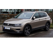 Tiguan 2 2015-2025