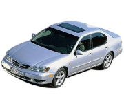Maxima