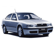 Octavia Tour 2000 - 2010 (рестайлинг)
