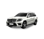 GL GLS - class X166 2012-2019